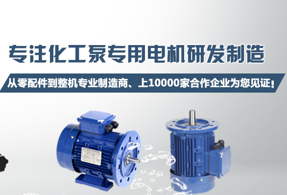 化工泵長軸電機